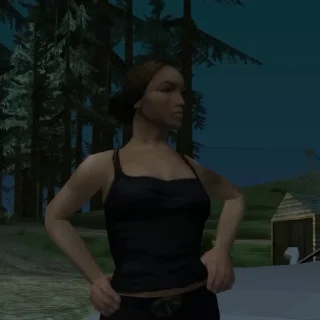 💲