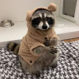 ❣️