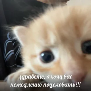 😘