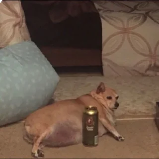 🍺