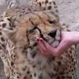 😞