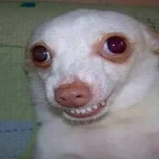 😬