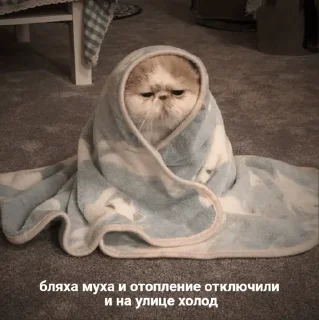 😞