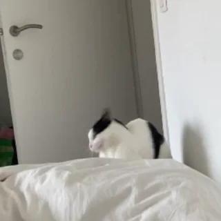 😡