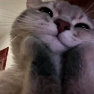 🤍