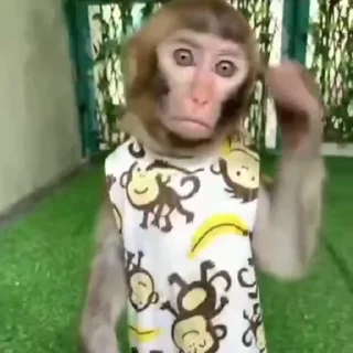 😳