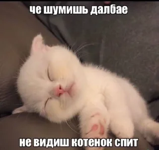 😴