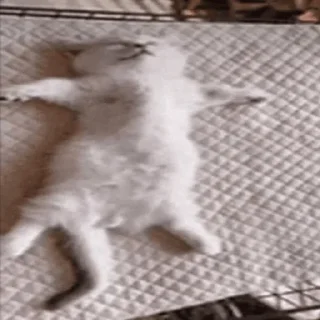 😵