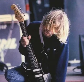 🎸