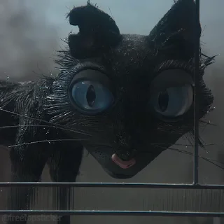 🐈‍⬛