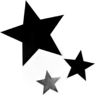 🌟