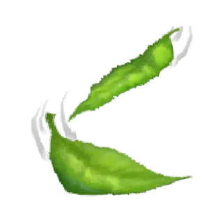 🍃