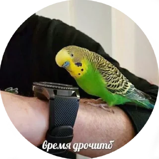 👌