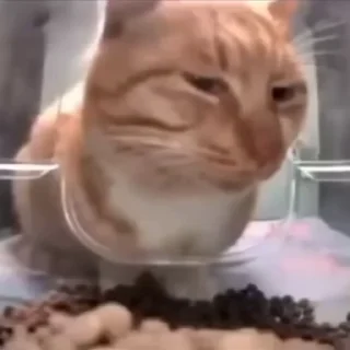 🤨