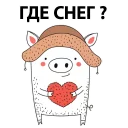 🐷