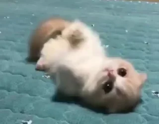 🥰