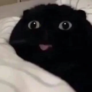 😝