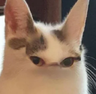 😐