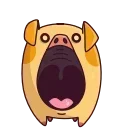 😱