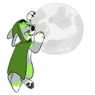 🌕