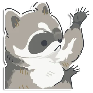 🦝