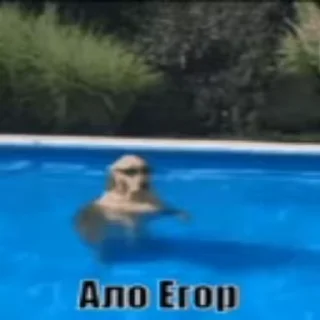 👻