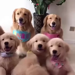 😁