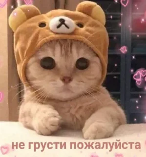 🥺
