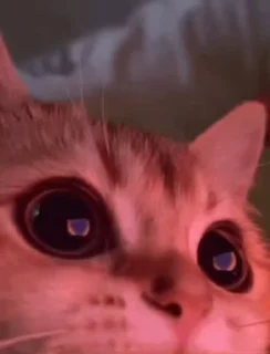 😍