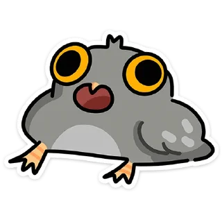 🦉