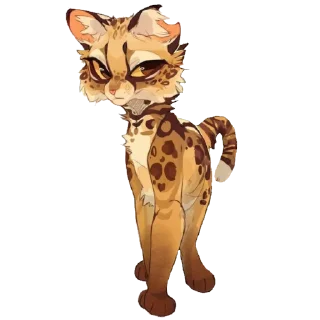 🐱