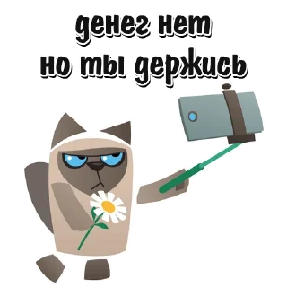 🐱
