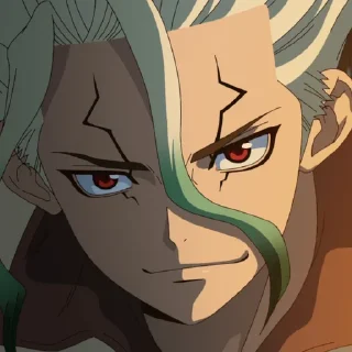 Senku (@TodorokiShouto)