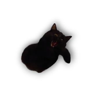 😡