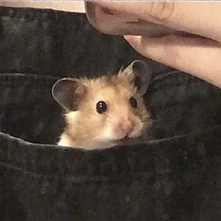 🔪