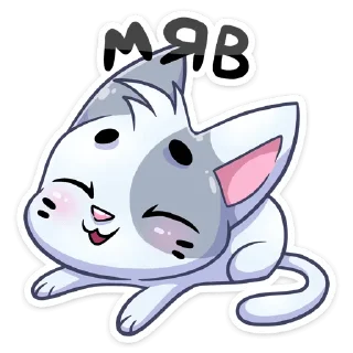 😽