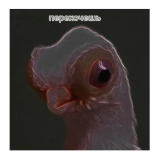 🐔