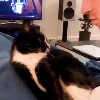 😘