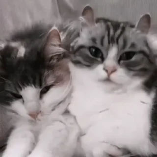 🥰