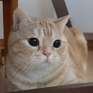 😕