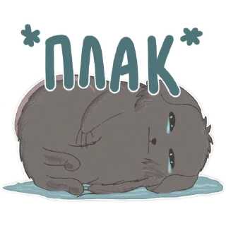 😿