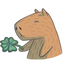 🍀
