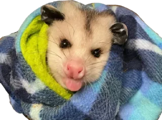 😛