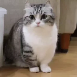 😍