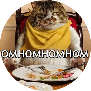 🍽