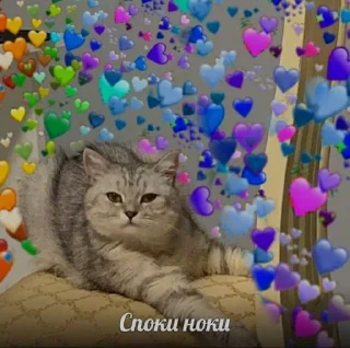🥱