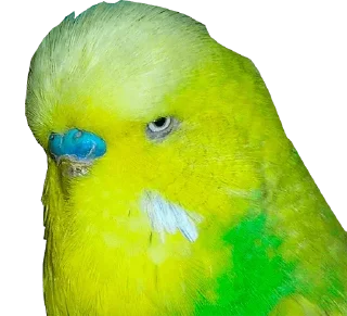 😑