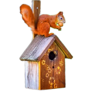 🏡