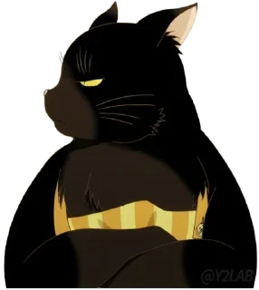 😾