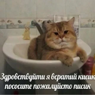😀